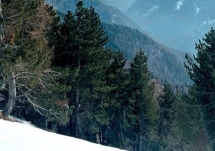 Panorama Alpe